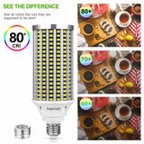 DragonLight 60W LED Corn Bulbs 3000K Warm White E26/E39 Base 7,200LM [Twin Value Pack]
