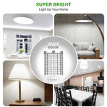 DragonLight 30W 6000K Daylight Super Bright LED Corn Light Bulbs - 3600 Lumens [Twin Value Pack]