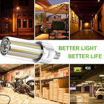 DragonLight 240W 3000K Warm White Commercial Grade Corn LED Light Bulb E39 Mogul Base LED Lamp 32,400LM - UL Listed