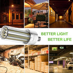 DragonLight 80W Commercial Grade LED Corn Bulb 3000K Warm White E26/E39 Base 9,600LM - UL Listed